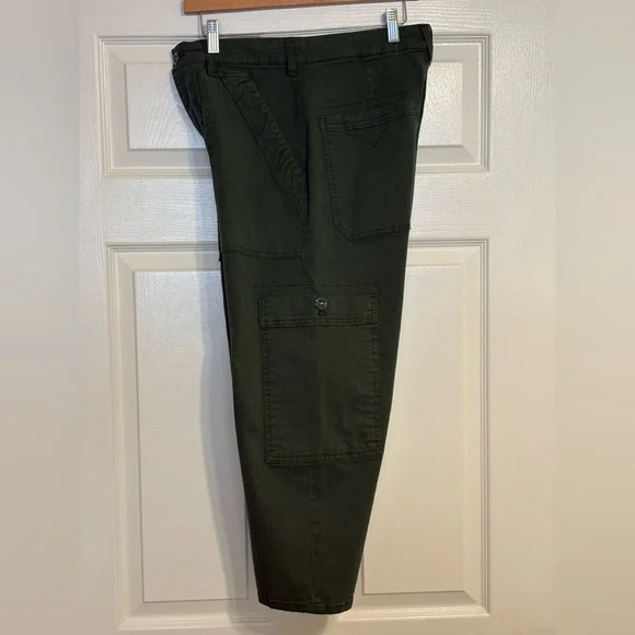 Anthropologie The Millie Low-Slung Barrel Pants by Pilcro size 28P 23” inseam - Picture 5 of 10